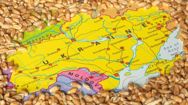 Пять восточных стран ЕС снова просят Еврокомиссию вернуть пошлины на украинское зерно Пять восточных стран ЕС снова просят Еврокомиссию вернуть пошлины на украинское зерно