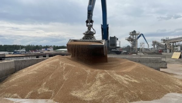 Україна у поточному маркетинговому році скоротила експорт агропромислової продукції на 17% - УКАБ Україна у поточному маркетинговому році скоротила експорт агропромислової продукції на 17% - УКАБ