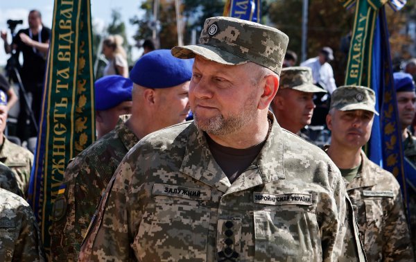 Позывной "Волонтер". Кем был Залужный до большой войны
Позывной "Волонтер". Кем был Залужный до большой войны