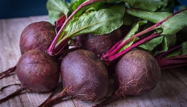 В Україні за тиждень столовий буряк подорожчав на 33% - EastFruit В Україні за тиждень столовий буряк подорожчав на 33% - EastFruit