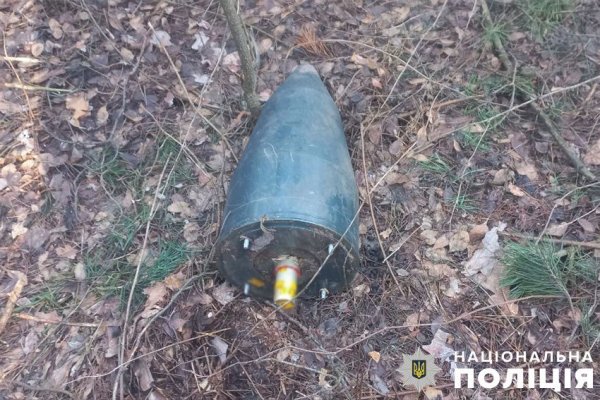 Вибухотехніки знищили бойову частину ворожого "Шахеда", який збили біля Києва
Вибухотехніки знищили бойову частину ворожого "Шахеда", який збили біля Києва