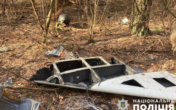 Вибухотехніки знищили бойову частину ворожого "Шахеда", який збили біля Києва
Вибухотехніки знищили бойову частину ворожого "Шахеда", який збили біля Києва
