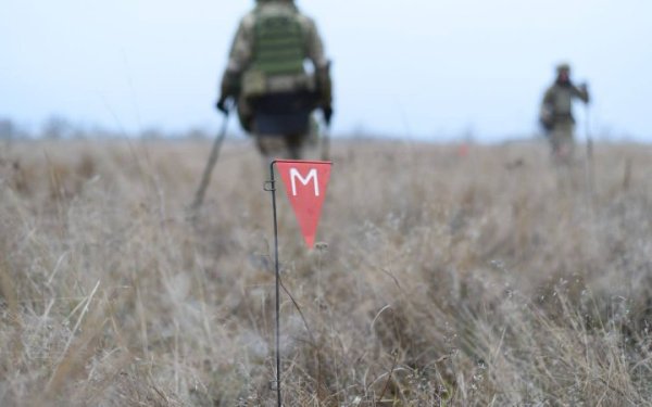 На Миколаївщині на міні підірвалося четверо людей
На Миколаївщині на міні підірвалося четверо людей