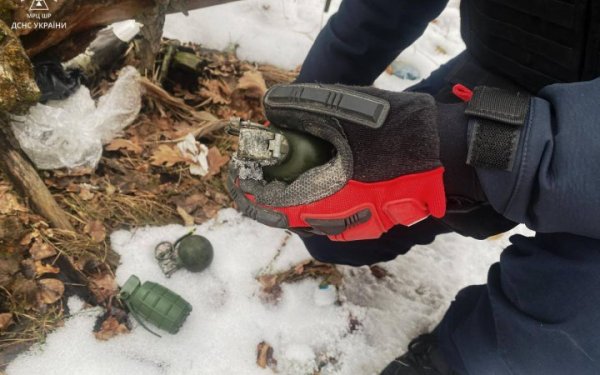 В лісі на Київщині знайшли три гранати
В лісі на Київщині знайшли три гранати