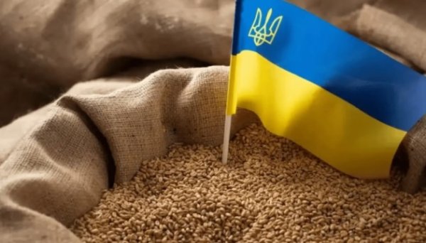 На міжнародній виставці у Німеччині 38 українських компаній презентують органічну продукцію На міжнародній виставці у Німеччині 38 українських компаній презентують органічну продукцію