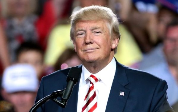 Нарвался на критику. Как заявления Трампа побуждают Европу пересмотреть лидерство США в НАТО
Нарвался на критику. Как заявления Трампа побуждают Европу пересмотреть лидерство США в НАТО