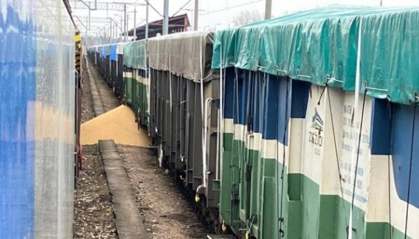 На залізничній станції у Польщі втретє пошкодили вагон з українською агропродукцією На залізничній станції у Польщі втретє пошкодили вагон з українською агропродукцією