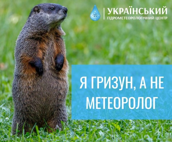 День сурка. Как появился праздник и сбываются ли прогнозы украинских "синоптиков"
День сурка. Как появился праздник и сбываются ли прогнозы украинских "синоптиков"