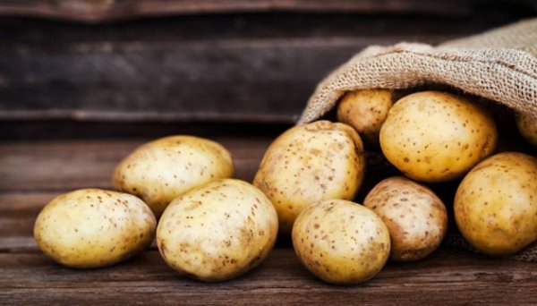 В Україні ціна на картоплю може сягнути 40 гривень за кілограм - експерт В Україні ціна на картоплю може сягнути 40 гривень за кілограм - експерт