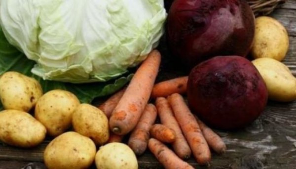 В Україні через теплу погоду впали ціни на моркву - EastFruit В Україні через теплу погоду впали ціни на моркву - EastFruit