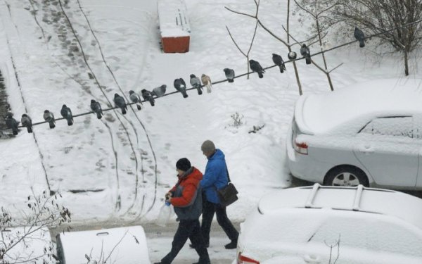 Січень в Києві був теплішим за кліматичну норму
Січень в Києві був теплішим за кліматичну норму