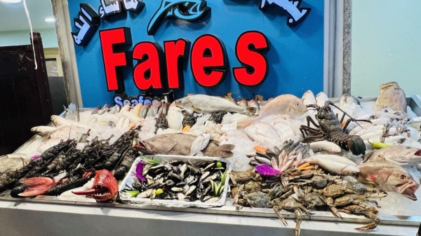 Другий дім Шарм Ель Шейх. Зимова розрада з вигодами для українців
Другий дім Шарм Ель Шейх. Зимова розрада з вигодами для українців