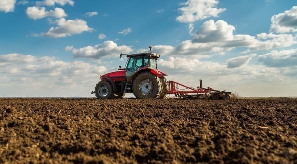 Урожай-2024: попередні прогнози Урожай-2024: попередні прогнози