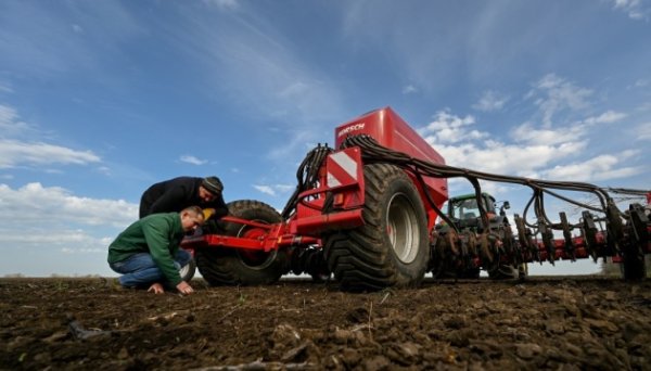 Збитки та втрати аграрного сектору України перевищують $80 мільярдів - KSE Агроцентр Збитки та втрати аграрного сектору України перевищують $80 мільярдів - KSE Агроцентр