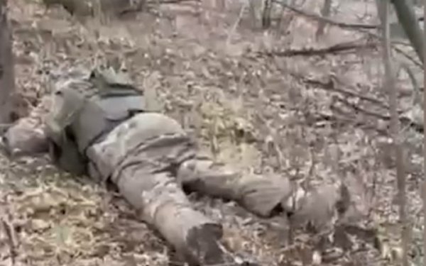 Стало відомо, скільки росіяни втратили техніки і живої сили за добу на окупованому лівобережжі Херсонщини
Стало відомо, скільки росіяни втратили техніки і живої сили за добу на окупованому лівобережжі Херсонщини