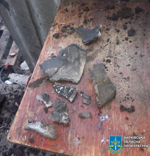 Одна людина загинула внаслідок російського обстрілу Чугуївського району Харківщини
Одна людина загинула внаслідок російського обстрілу Чугуївського району Харківщини
