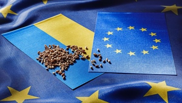 Єврокомісія шукає баланс між допомогою Україні та захистом ринку ЄС Єврокомісія шукає баланс між допомогою Україні та захистом ринку ЄС
