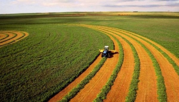 Обсяги продажу землі в Україні європейцям незрозумілі - експерт Обсяги продажу землі в Україні європейцям незрозумілі - експерт