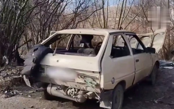 В окупованому Бердянську ліквідували одну з організаторок псевдовиборів
В окупованому Бердянську ліквідували одну з організаторок псевдовиборів