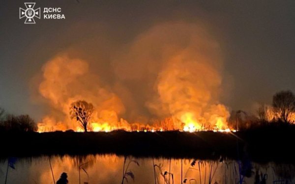 Вогнеборці ліквідували пожежу поблизу озера Тягле, - КМДА
Вогнеборці ліквідували пожежу поблизу озера Тягле, - КМДА