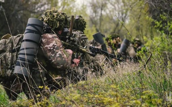 ДШВ запустили зайт, де можна подати заявку у обрану бригаду
ДШВ запустили зайт, де можна подати заявку у обрану бригаду