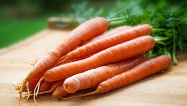 В Україні подешевшала морква - EastFruit В Україні подешевшала морква - EastFruit