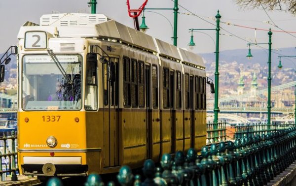 Європейська столиця продовжила безплатний проїзд для українців: умови
Європейська столиця продовжила безплатний проїзд для українців: умови