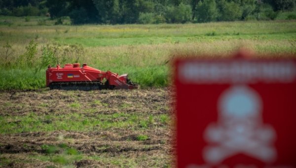 Аграріям компенсують 80% вартості розмінування землі - уряд затвердив порядок виплат Аграріям компенсують 80% вартості розмінування землі - уряд затвердив порядок виплат