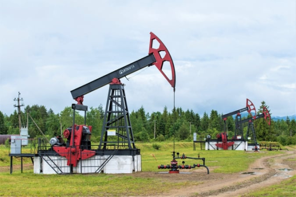 Укрнафта увеличила добычу нефти и газа
Укрнафта увеличила добычу нефти и газа