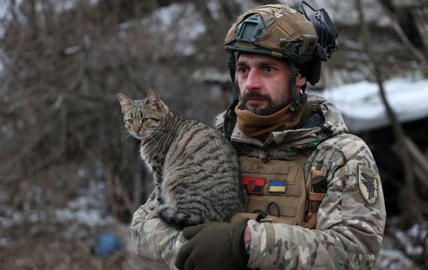 ЗСУ змусили російські війська відступити на Донецькому напрямку: карти ISW
ЗСУ змусили російські війська відступити на Донецькому напрямку: карти ISW