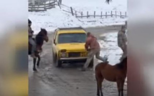 Двоє мешканців Чернівецької області напали з сокирою на працівників ТЦК
Двоє мешканців Чернівецької області напали з сокирою на працівників ТЦК
