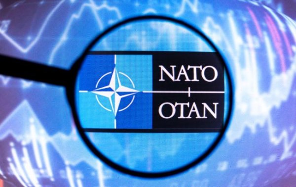 На один із штатів США не поширюється 5-та стаття НАТО, - CNN
На один із штатів США не поширюється 5-та стаття НАТО, - CNN