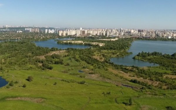 У київському екопарку "Осокорки" спалахнула пожежа
У київському екопарку "Осокорки" спалахнула пожежа
