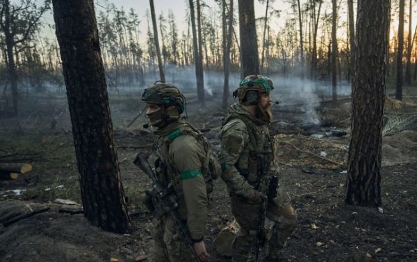 Це непокоїть. РФ використовує на фронті "зброю останньої надії": про що мова
Це непокоїть. РФ використовує на фронті "зброю останньої надії": про що мова
