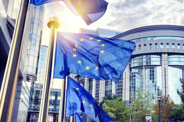 ЕС продлит льготный режим и импорт из Украины, но с гарантиями для фермеров
ЕС продлит льготный режим и импорт из Украины, но с гарантиями для фермеров