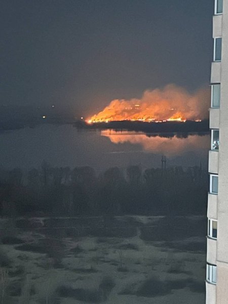 У київському екопарку "Осокорки" спалахнула пожежа
У київському екопарку "Осокорки" спалахнула пожежа