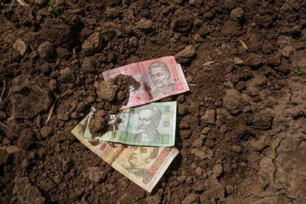 Земельний ринок під час війни: ніхто не скуповує землю за безцінь Земельний ринок під час війни: ніхто не скуповує землю за безцінь