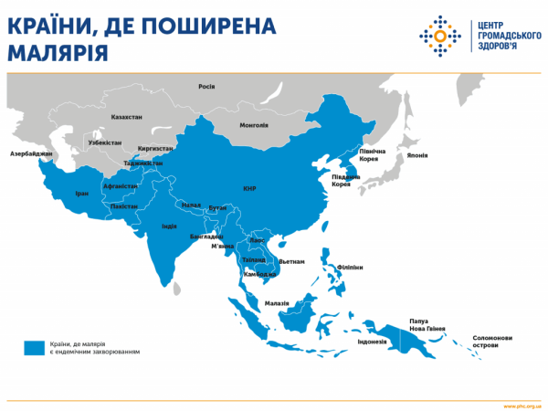 Населення Землі може бути під загрозою через хвороби, які передаються комарами, - вчені Населення Землі може бути під загрозою через хвороби, які передаються комарами, - вчені