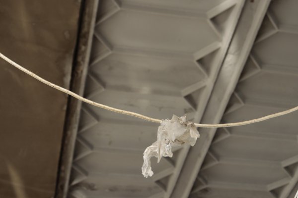 Чи врятує Житній ринок нова довгострокова оренда Чи врятує Житній ринок нова довгострокова оренда