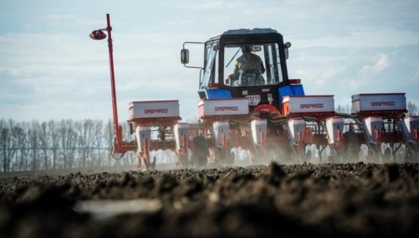 На Харківщині не зможуть засіяти третину оброблюваних земель На Харківщині не зможуть засіяти третину оброблюваних земель