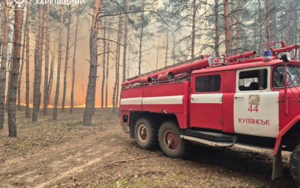 Російські обстріли спричинили велику лісову пожежу на Харківщині
Російські обстріли спричинили велику лісову пожежу на Харківщині