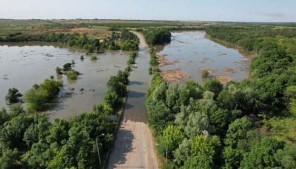 Через підрив Росією Каховської ГЕС знищені майже 10 тисяч гектарів водно-болотних угідь в Україні Через підрив Росією Каховської ГЕС знищені майже 10 тисяч гектарів водно-болотних угідь в Україні