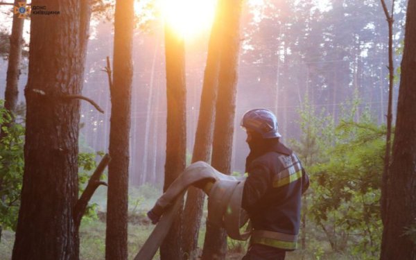 На Київщині у Вишгородському районі ліквідовано пожежу лісової підстилки на площі 35 га
На Київщині у Вишгородському районі ліквідовано пожежу лісової підстилки на площі 35 га