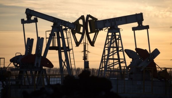 Нафта дорожчає та завершує тиждень у плюсі Нафта дорожчає та завершує тиждень у плюсі