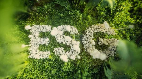ESG-фонды впервые пережили отток средств
ESG-фонды впервые пережили отток средств