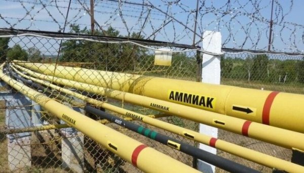 Уряд направив на утримання аміакопроводу ₴168 мільйонів з резервного фонду Уряд направив на утримання аміакопроводу ₴168 мільйонів з резервного фонду
