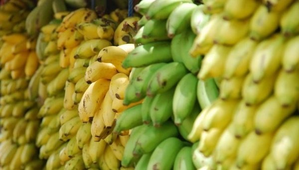 Ціни на банани в Україні рекордно високі через блокування портів - EastFruit Ціни на банани в Україні рекордно високі через блокування портів - EastFruit