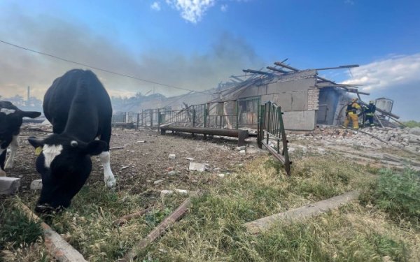 На Харківщині від обстрілів постраждала ферма, освітні заклади і гольф-клуб
На Харківщині від обстрілів постраждала ферма, освітні заклади і гольф-клуб