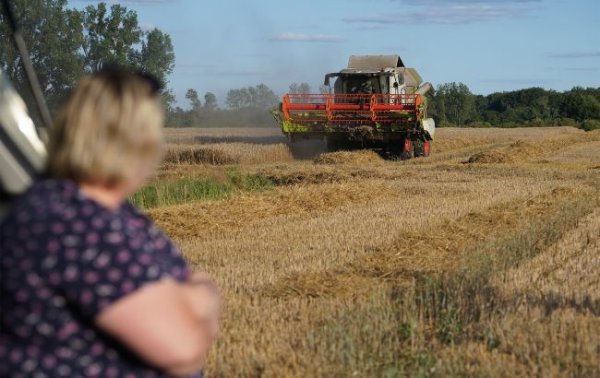 Прибутки з гектарів. Якими будуть ціни на землю в Україні та скільки на цьому можна заробити
Прибутки з гектарів. Якими будуть ціни на землю в Україні та скільки на цьому можна заробити