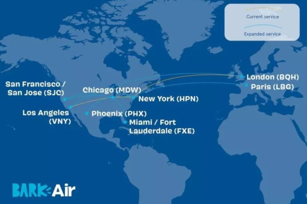 У США з'явилася авіакомпанія для собак У США з'явилася авіакомпанія для собак